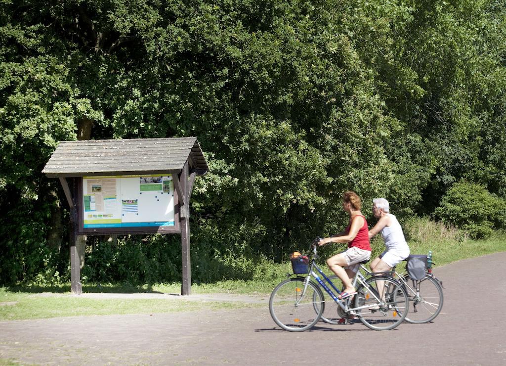 Bungalows - Bungalowpark Mooyeveld - Uniek Gelegen In De Duinen! Эгмонд-Биннен Экстерьер фото