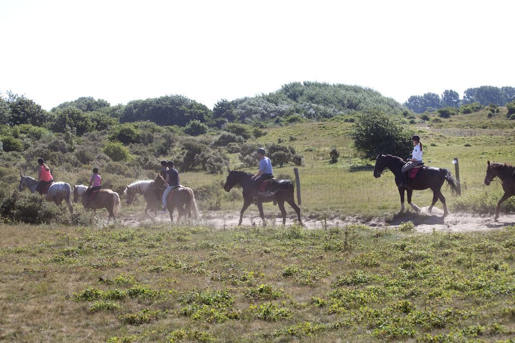 Bungalows - Bungalowpark Mooyeveld - Uniek Gelegen In De Duinen! Эгмонд-Биннен Экстерьер фото