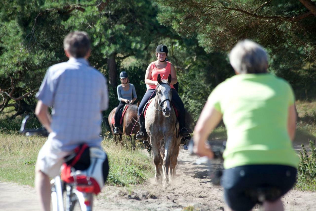 Bungalows - Bungalowpark Mooyeveld - Uniek Gelegen In De Duinen! Эгмонд-Биннен Экстерьер фото